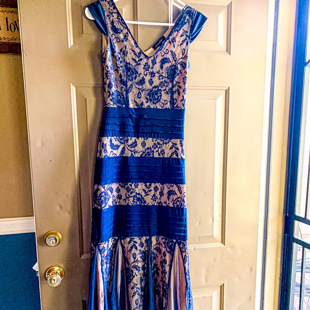 Homecoming/Prom Dress